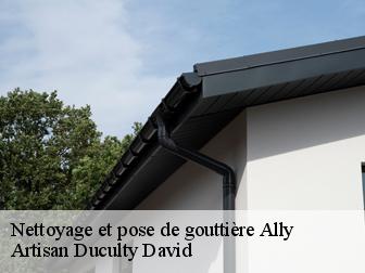 Nettoyage et pose de gouttière ally-43380 Artisan Graff
