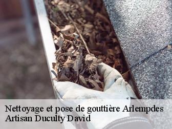 Nettoyage et pose de gouttière 43490