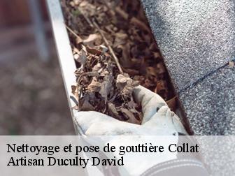 Nettoyage et pose de gouttière 43230
