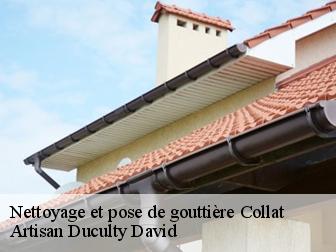 Nettoyage et pose de gouttière