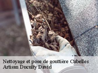 Nettoyage et pose de gouttière 43170