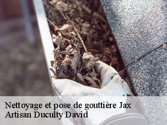 Nettoyage et pose de gouttière 43230