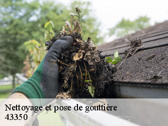 Nettoyage et pose de gouttière 43350
