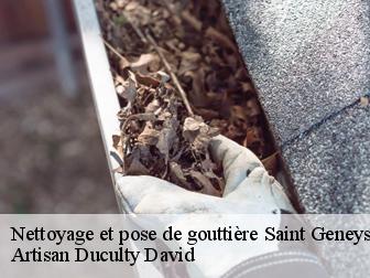 Nettoyage et pose de gouttière 43350