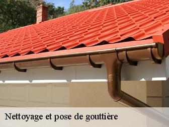 Nettoyage et pose de gouttière 43350