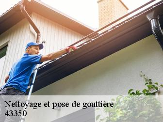 Nettoyage et pose de gouttière 43350