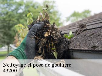 Nettoyage et pose de gouttière 43200