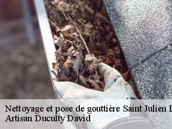 Nettoyage et pose de gouttière 43200