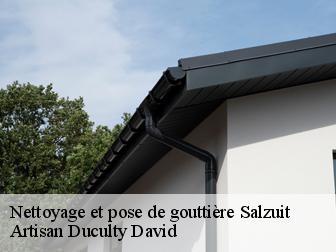 Nettoyage et pose de gouttière salzuit-43230 Artisan Graff