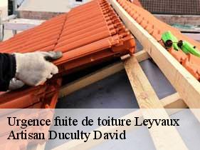 Urgence fuite de toiture leyvaux-43450 Artisan Graff