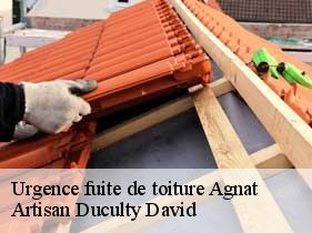 Urgence fuite de toiture agnat-43100 Artisan Graff