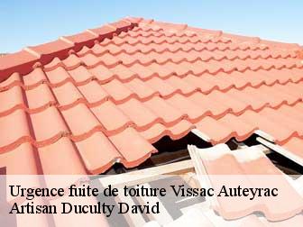 Urgence fuite de toiture 43300