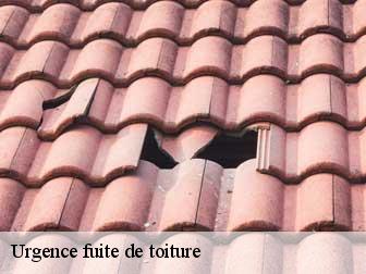 Urgence fuite de toiture