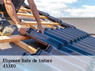 Urgence fuite de toiture 43380