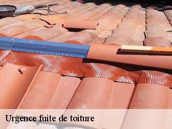 Urgence fuite de toiture 43380