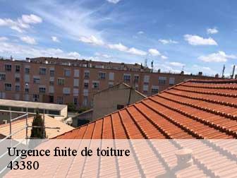 Urgence fuite de toiture 43380