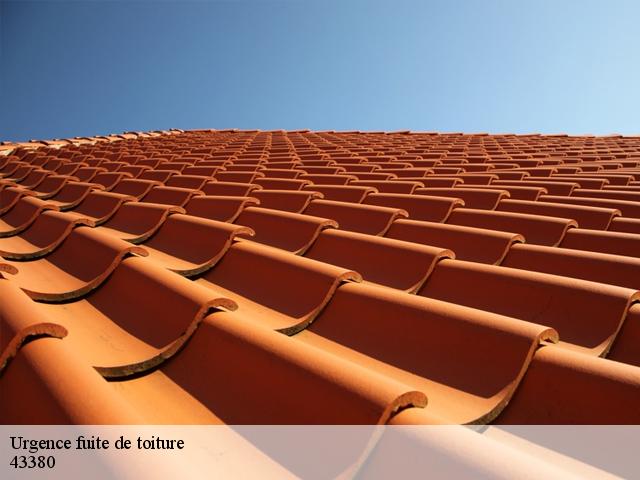 Urgence fuite de toiture
