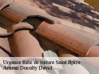 Urgence fuite de toiture