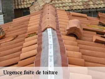 Urgence fuite de toiture