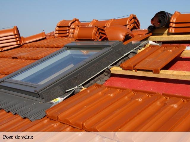 Pose de velux