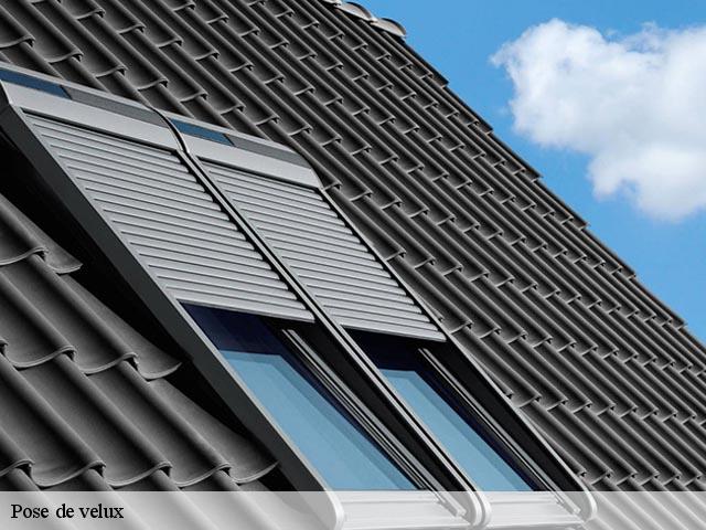Pose de velux 43450