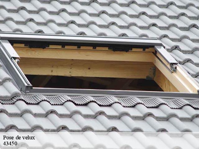 Pose de velux 43450