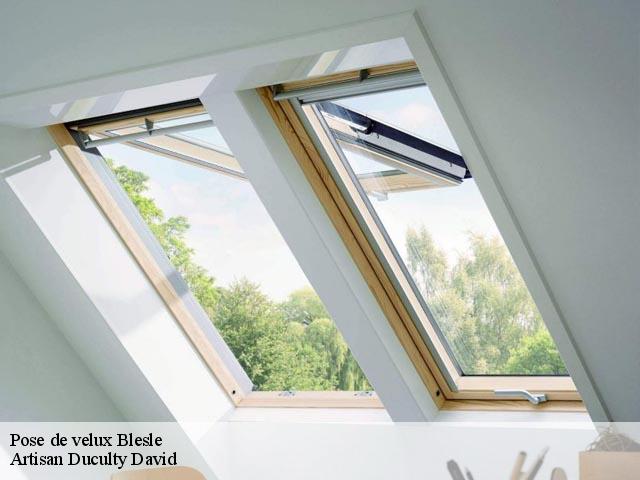 Pose de velux