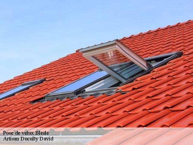 Pose de velux blesle-43450 Artisan Graff