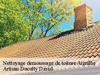 Nettoyage demoussage de toiture