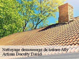 Nettoyage demoussage de toiture