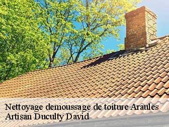 Nettoyage demoussage de toiture