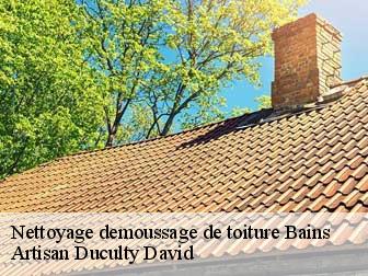 Nettoyage demoussage de toiture