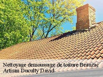 Nettoyage demoussage de toiture