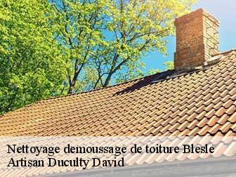 Nettoyage demoussage de toiture