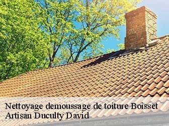Nettoyage demoussage de toiture