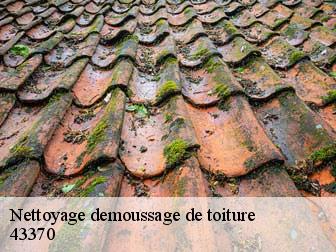 Nettoyage demoussage de toiture 43370