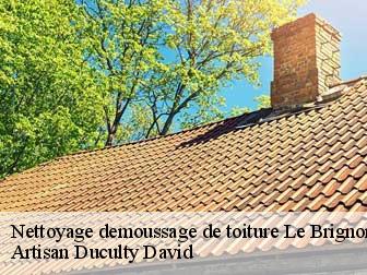 Nettoyage demoussage de toiture