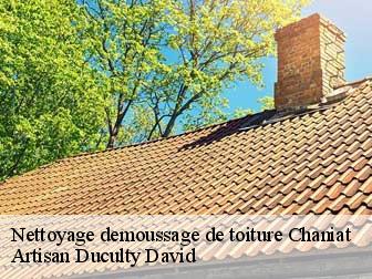 Nettoyage demoussage de toiture