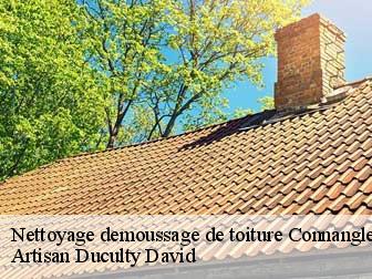 Nettoyage demoussage de toiture