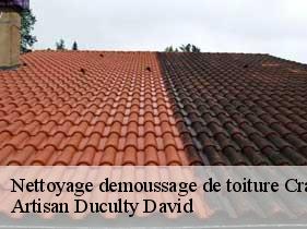 Nettoyage demoussage de toiture  craponne-sur-arzon-43500 Artisan Graff
