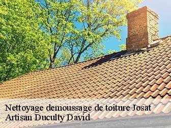 Nettoyage demoussage de toiture