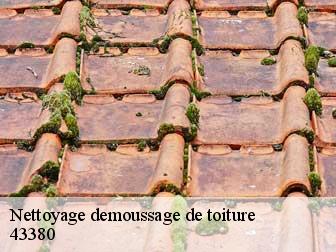 Nettoyage demoussage de toiture 43380