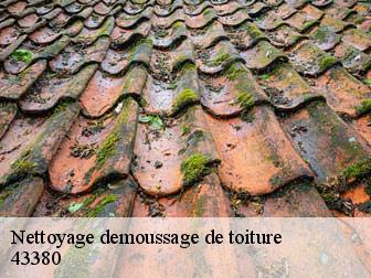 Nettoyage demoussage de toiture 43380