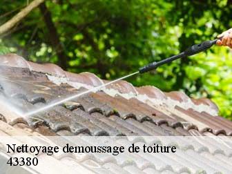 Nettoyage demoussage de toiture