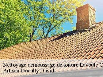 Nettoyage demoussage de toiture