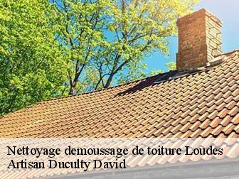 Nettoyage demoussage de toiture