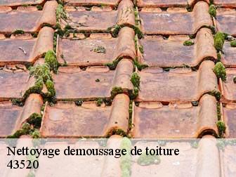 Nettoyage demoussage de toiture 43520