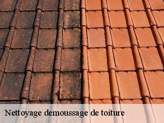 Nettoyage demoussage de toiture