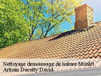 Nettoyage demoussage de toiture