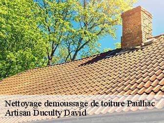 Nettoyage demoussage de toiture